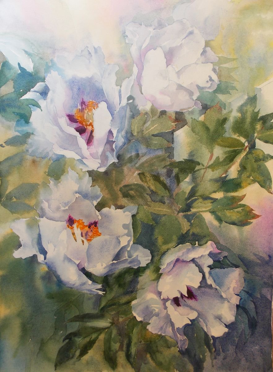 Impressionistic Botanical Watercolour By Yurii Pashkov, 18 X 24", White Peonies #2, Original Artwork