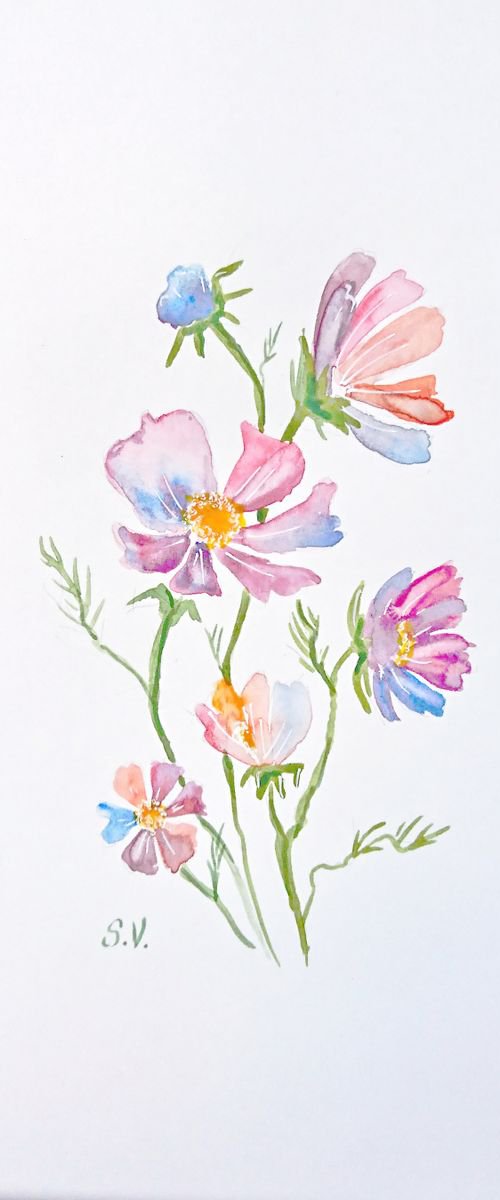 Cosmo flowers by Svetlana Vorobyeva