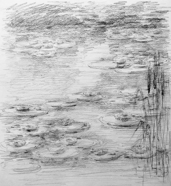 Water lilies. Sketch #2. Original pencil drawing.