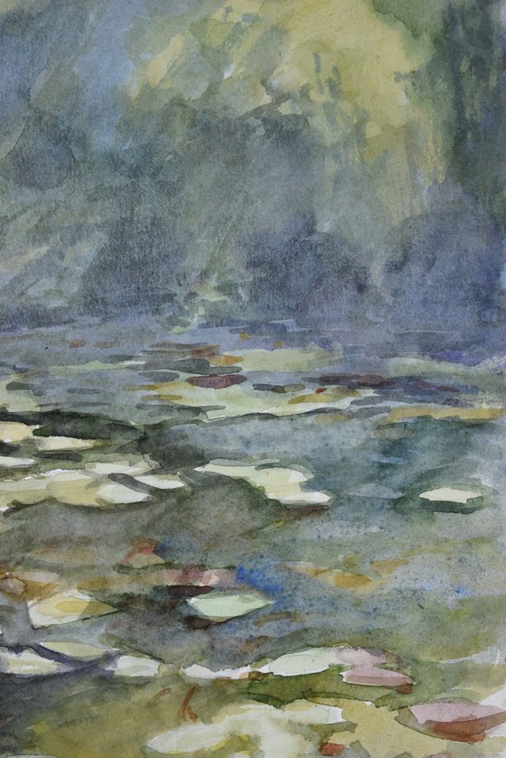 Water lilies 6