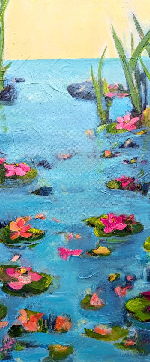 Morning Waterlilies by Haleh mahbod