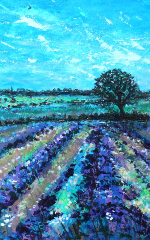 Selborne Fields by Paul J Best