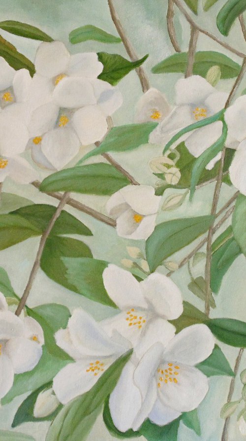 Orange Blossoms by Angeles M. Pomata