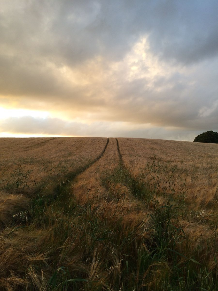 Impressionistic Landscape Photograph By Frankie Malone, 10 X 13, Sean