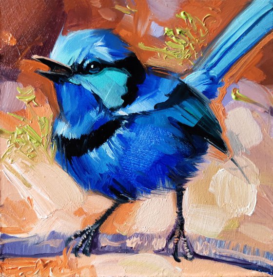 Fairy wren bird art, Small painting of bird in frame, Pocket bird painting, Original blue bird art 4x4