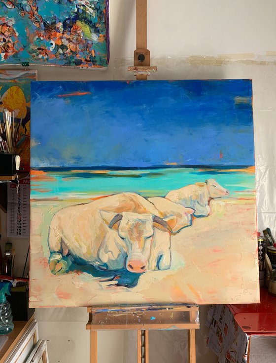 Cows on the beach