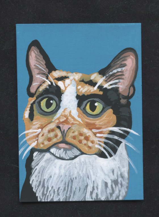 ACEO ATC Original Miniature Painting Calico Pet Cat Art-Carla Smale