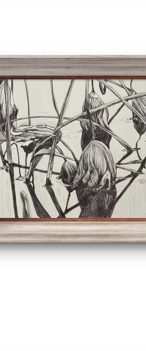 Lotus pond. Autumn by Guzel Min