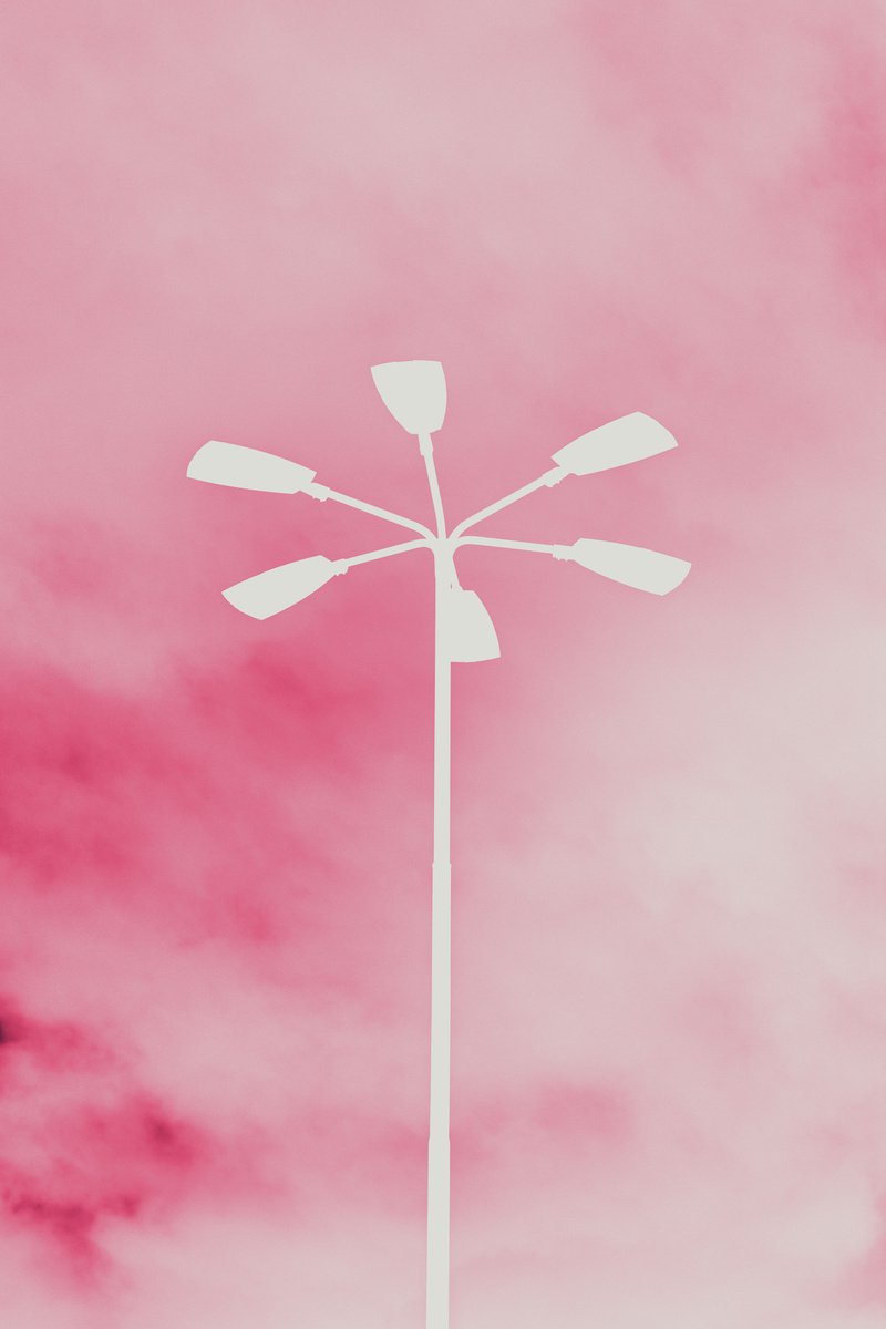 Abstract Photograph By Mattia Paoli, 20 X 28", Pink Lamppost, Original Artwork