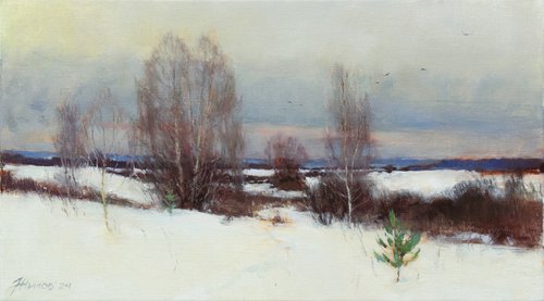 Winter dream by Andrey Jilov
