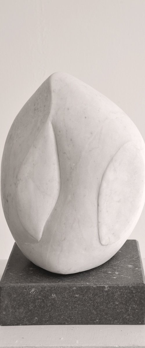 The seed by Monica Sarandrea