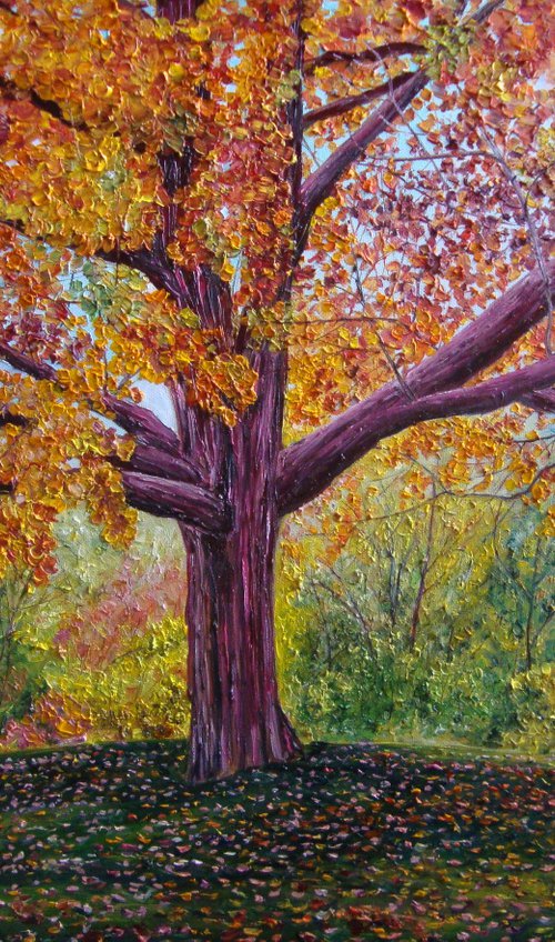All colours of autumn by Olga Knezevic