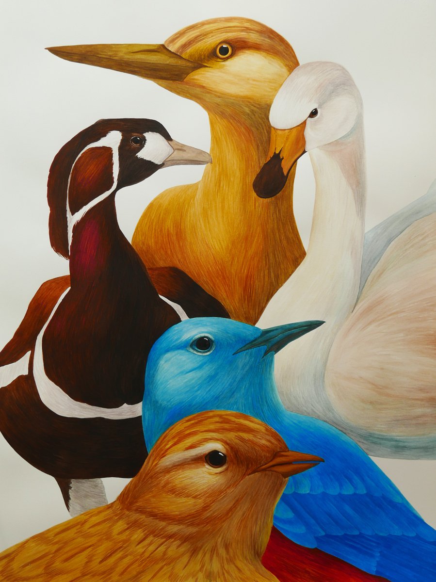 Illustrative Animal Watercolour By Karina Danylchuk, 22 X 30", Another 5 Birds, Original Artwork