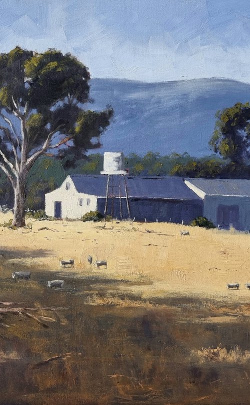 Southern Grampians Shearing Sheds by Rod Moore