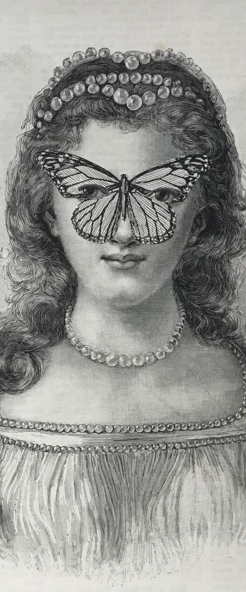 Butterfly - Renaissance by Tudor Evans