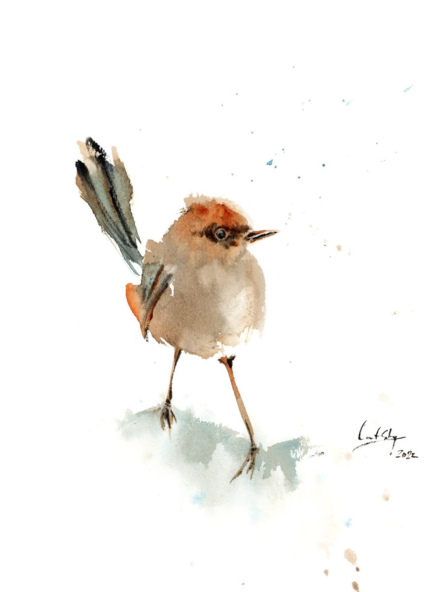 Impressionistic Animal Watercolour By Sophie Rodionov, 9 X 12", Wren Bird, Original Artwork