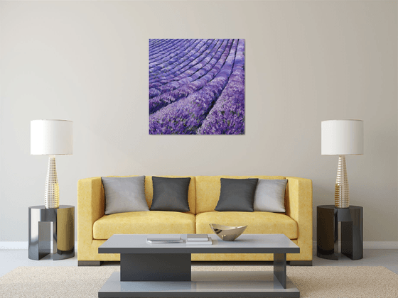 Lavender Dusk