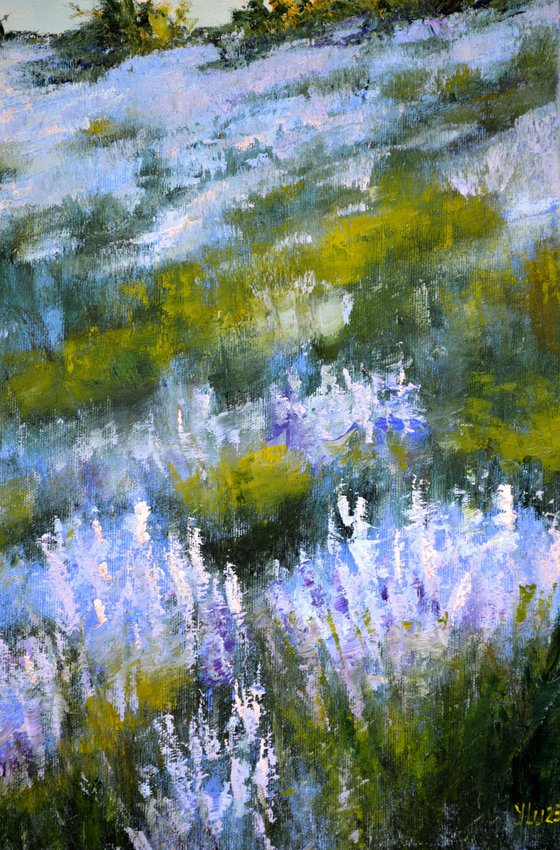 Wild lavender in the haze of the morning sun