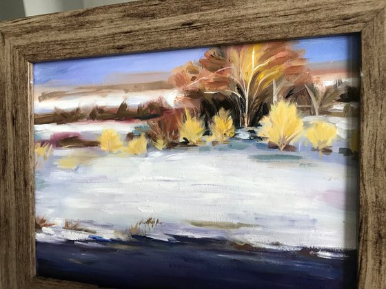 Winter lake Landscape original oil painting framed20x25cm