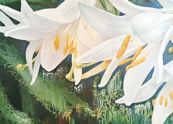 WHITE LILIES