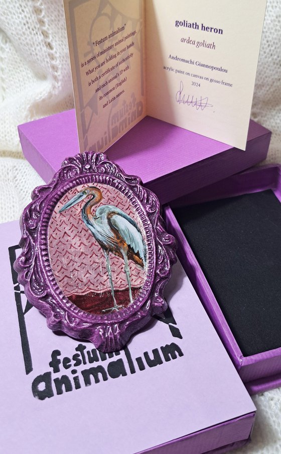 Goliath heron, part of framed animal miniature series "festum animalium"