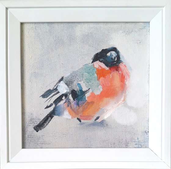Bullfinch