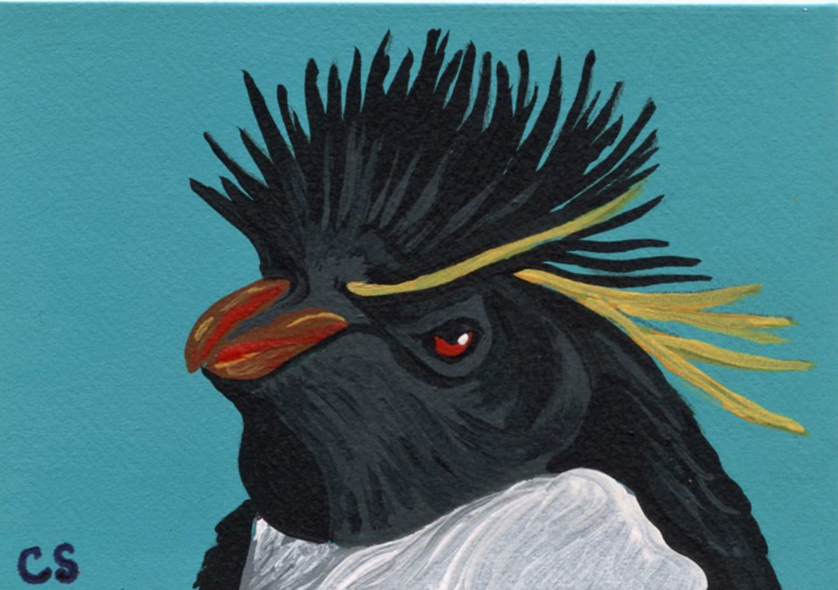 ACEO ATC Original Miniature Painting Rockhopper Penguin Bird Wildlife Art-Carla Smale by carla smale