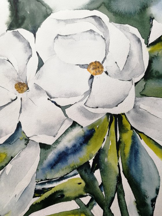 Magnolia painting. Blossoms painting