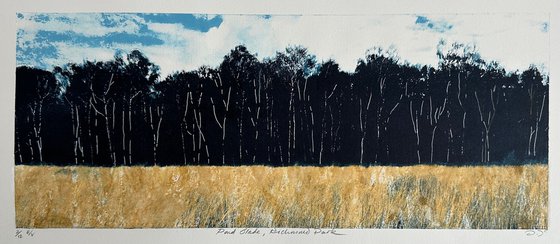 Pond Slade, Richmond Park