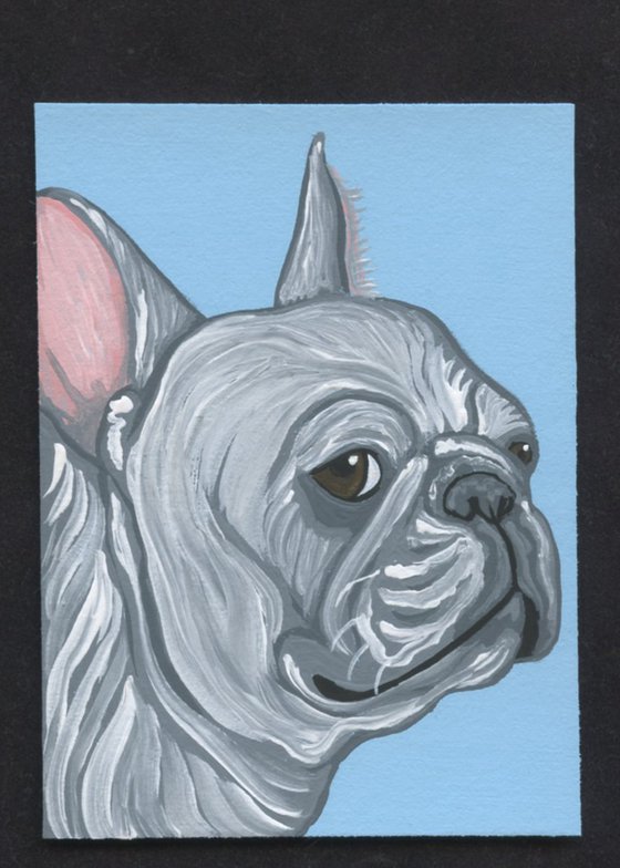 White French Bulldog