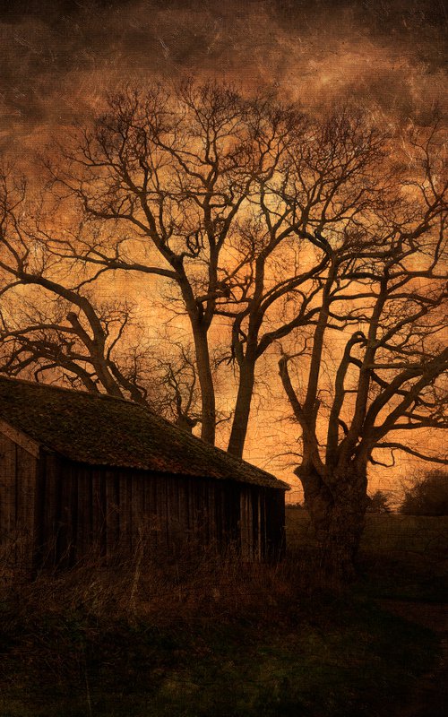 The Barn by the Tree by Martin  Fry