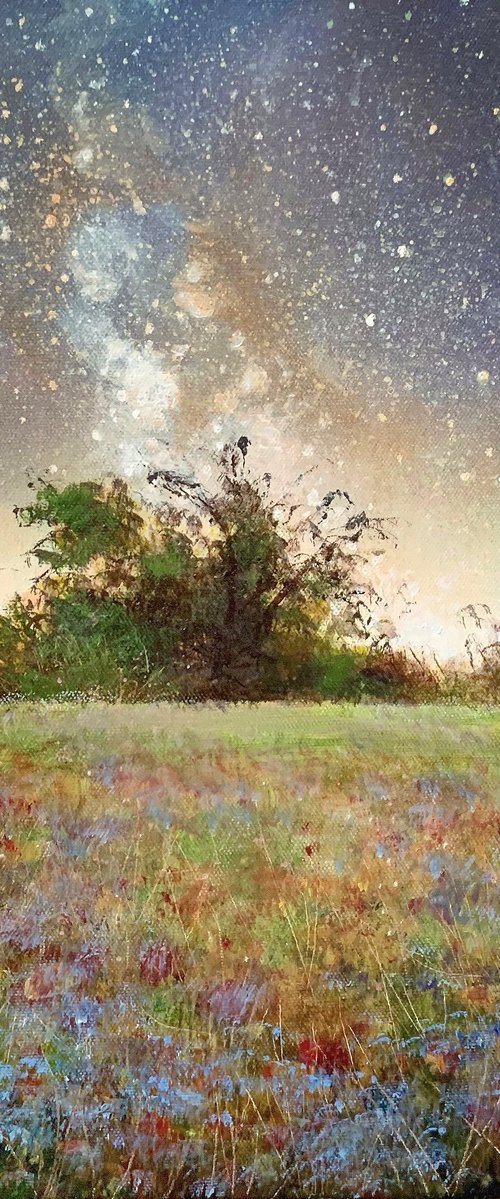 Golden Garden Stars by Jennifer Taylor