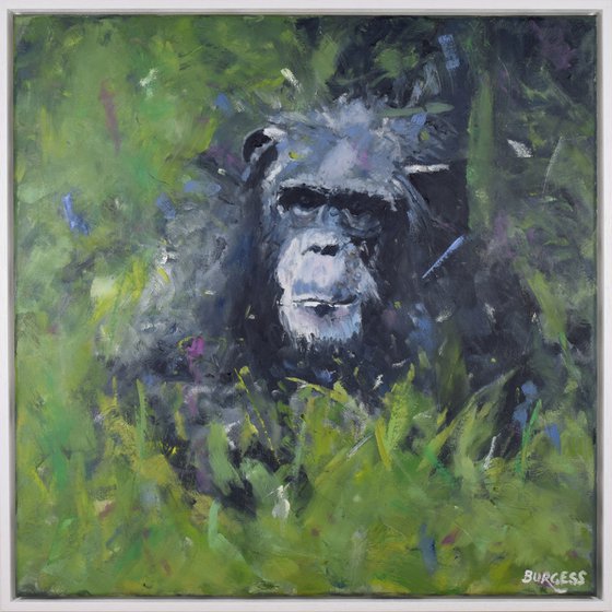 Expressive realism monkey art - chimpanzee portrait - Framed Oil On Canvas