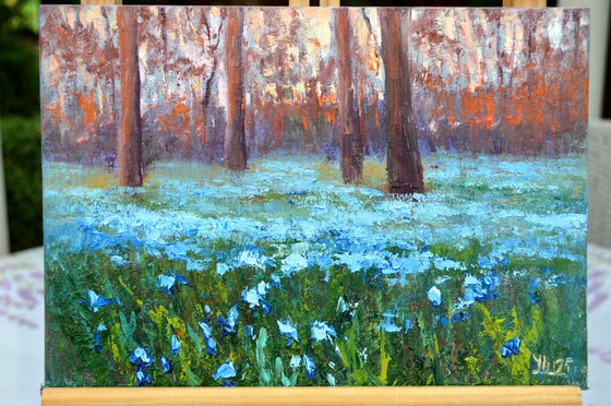 Scilla in the morning park
