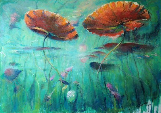 Underwater impressions