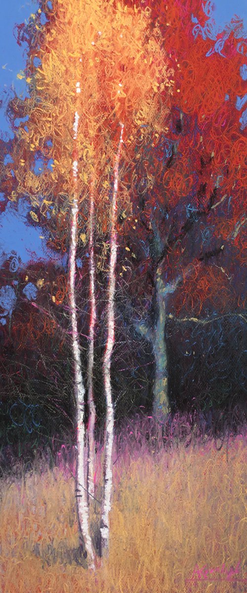 Colorful autumn trees in the Carpathians by Andrii Kovalyk