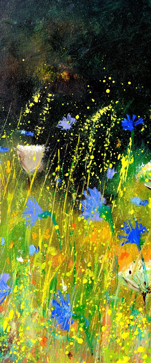 Summer wild flowers - 4523 by Pol Henry Ledent