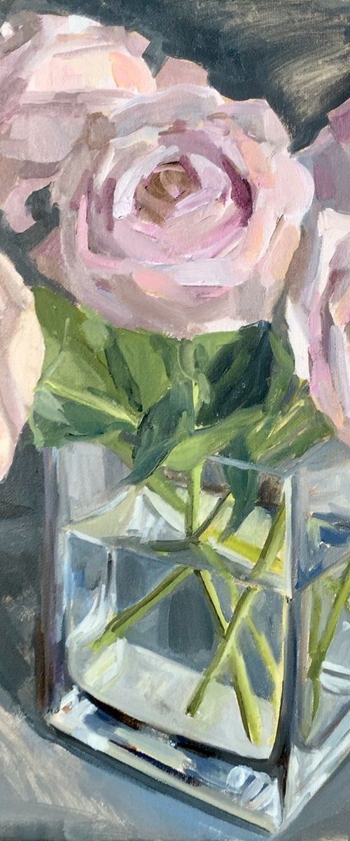 Pale pink roses in square glass vase by Katharine Rowe