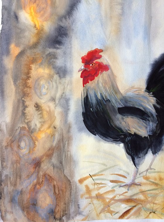 Rooster