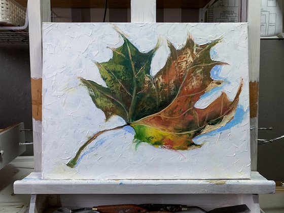 Autumn, maple leaf.