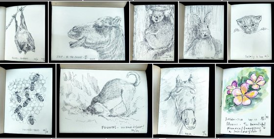 Sketchbook of 62 drawings