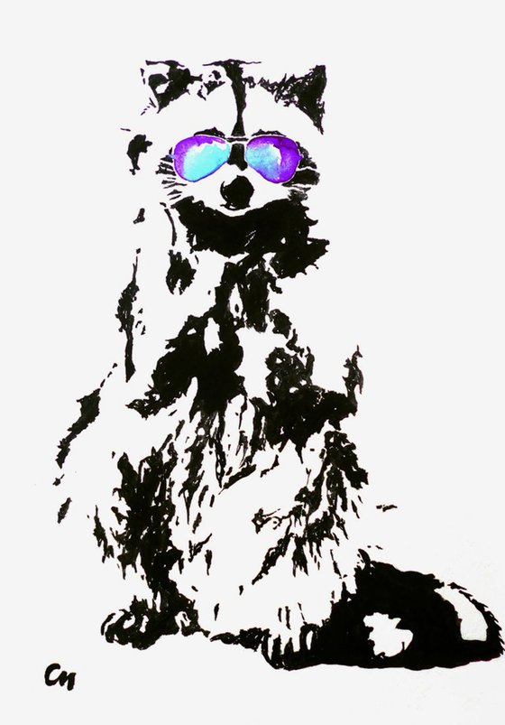 Raccoon
