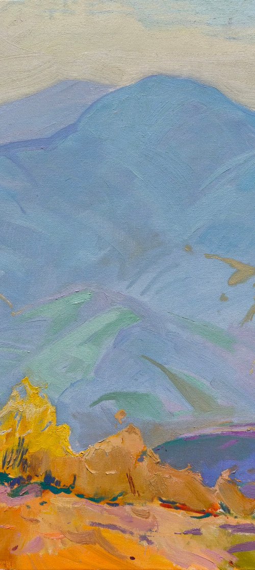 Mountain Expanses by Alexander Shandor