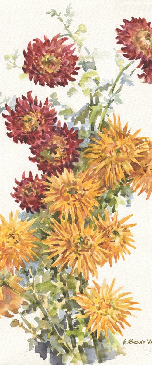 Palette of chrysanthemum by Olha Malko