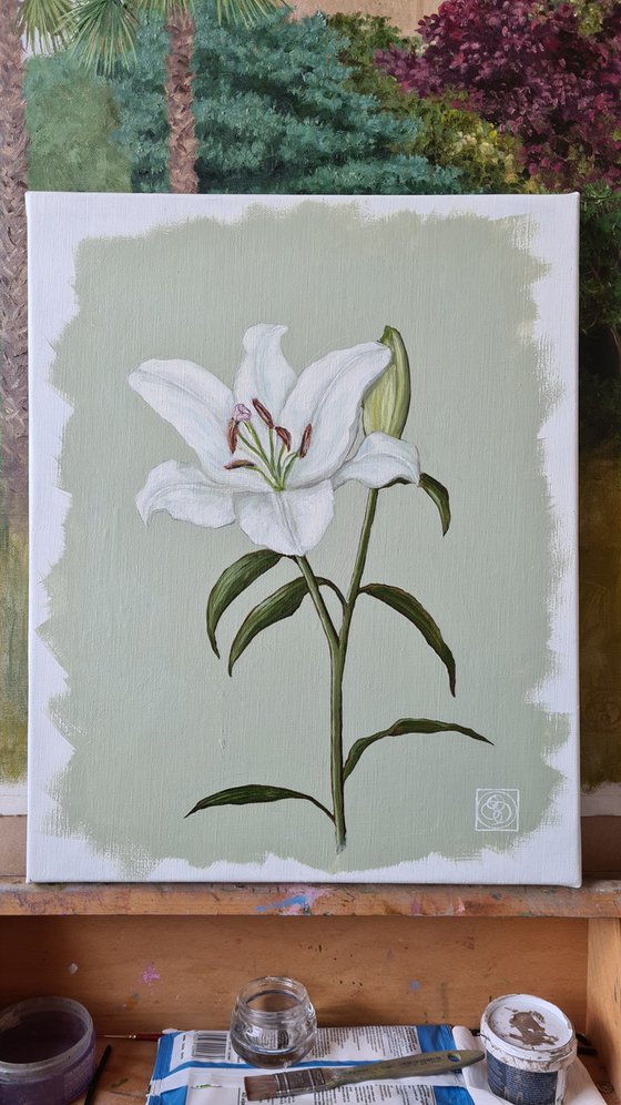 Oriental Lily Study 1