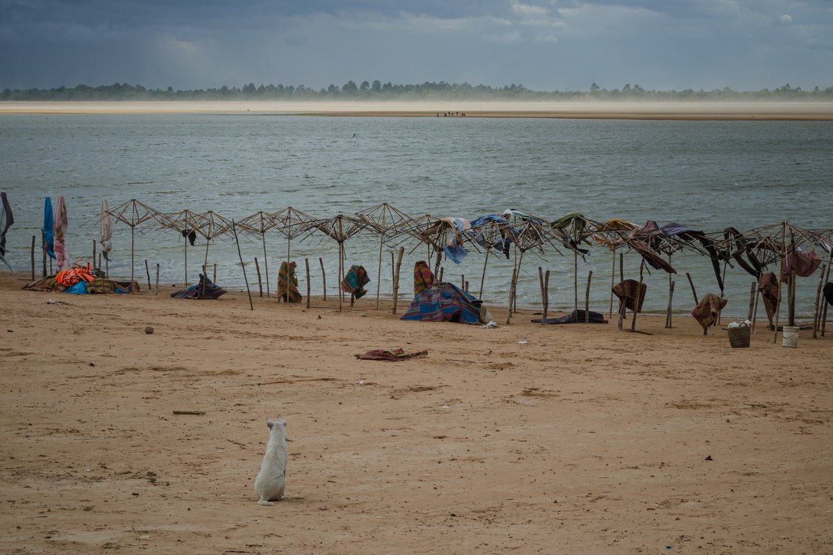 Photorealistic Landscape Photograph By Serge Horta, 40 X 27", Beach Dog, Original Artwork