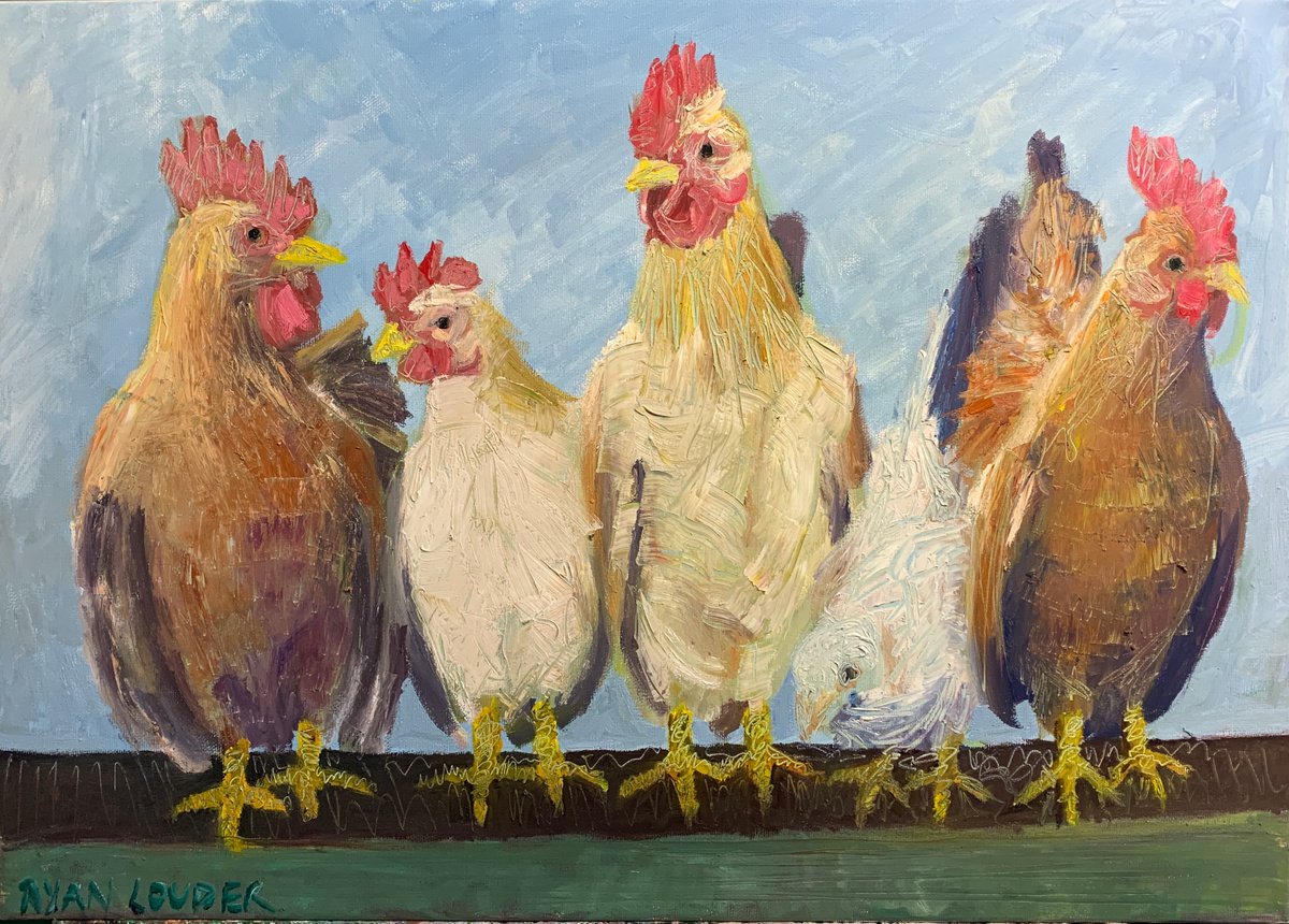 Chickens by Ryan Louder