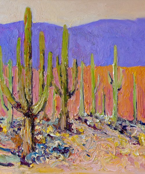 Desert Peace. Saguaros by Suren Nersisyan