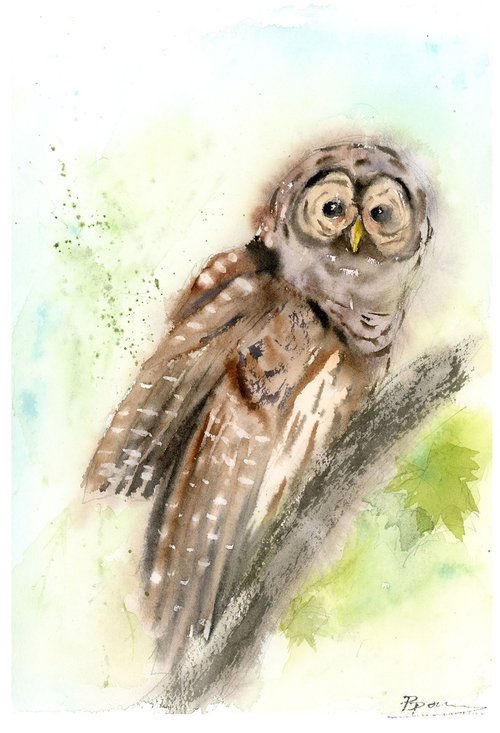 The OWL by Olga Shefranov (Tchefranov)