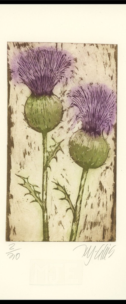 Thistle by Mariann Johansen-Ellis